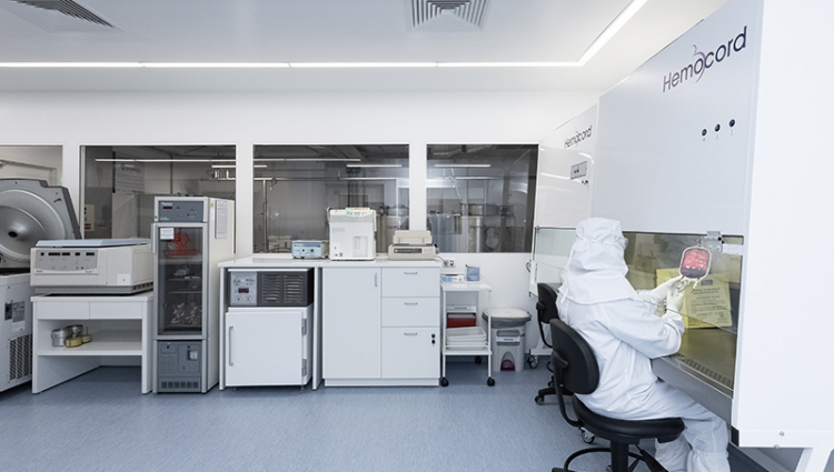 Unisinos, Tecnosinos e Hemocord formam parceria para processar testes do Covid-19