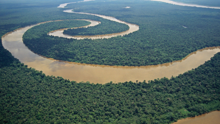 Pesquisadora da Unisinos produz artigo sobre incursões marinhas na Amazônia