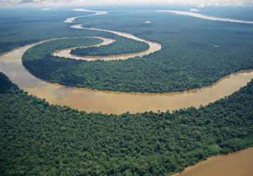 Pesquisadora da Unisinos produz artigo sobre incursões marinhas na Amazônia