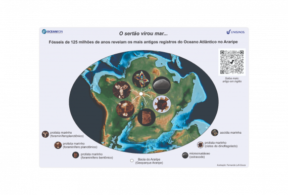 Pesquisa realizada pelo itt Oceaneon traz novas descobertas sobre incursões marinhas no Nordeste brasileiro