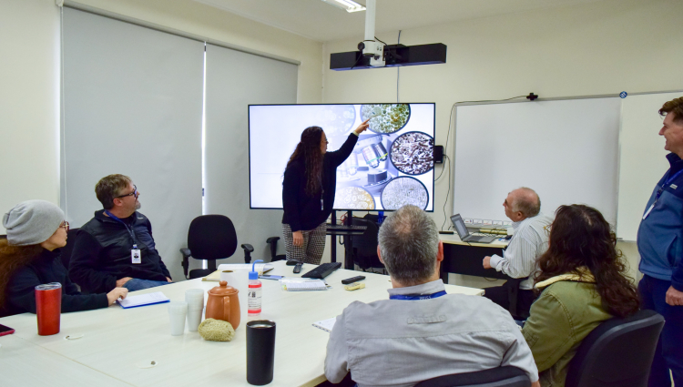 Modelagem do Passado para Descobertas Futuras: Projeto PALEOCLIMA amplia conhecimento sobre sistemas petrolíferos do Hemisfério Sul