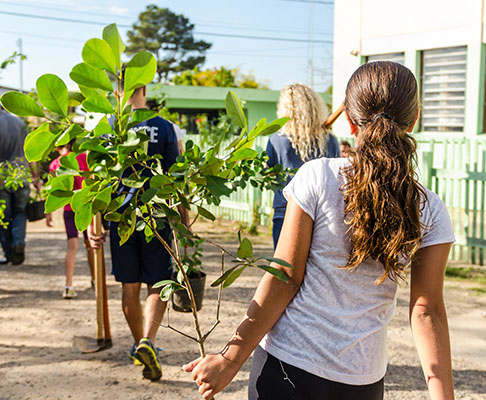 Mutirão Ambiental