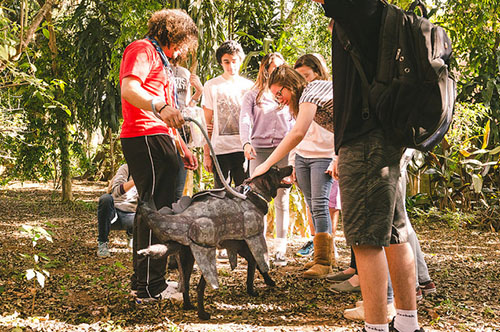 Utopia Followers envolve escolas do ensino médio