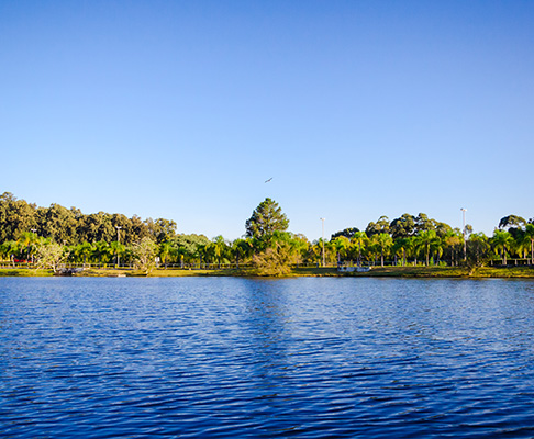 Manejo de peixes no lago da Unisinos