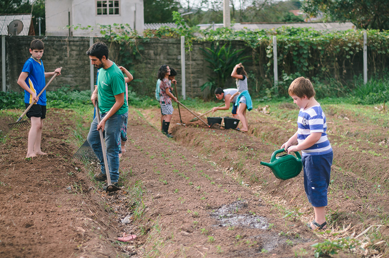 Tempo de plantar, cultivar e colher afeto