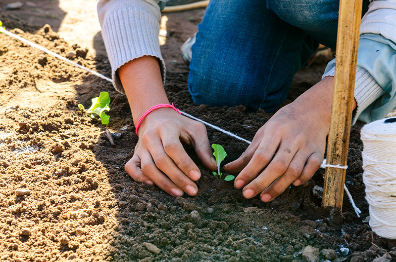 Unisinos recebe prêmio Expressão de Ecologia