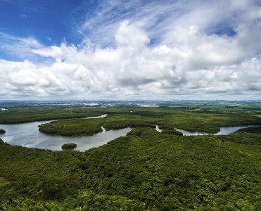 Vamos falar sobre o maior bioma do Brasil?