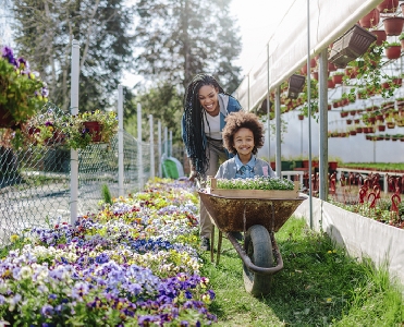 Saiba como cuidar da saúde na Primavera