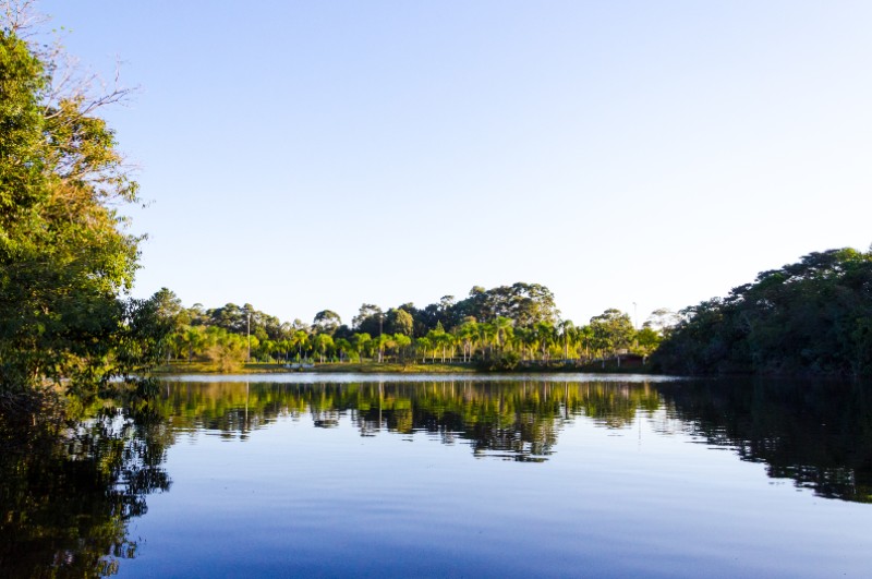 Conheça projetos da Unisinos voltados à preservação do meio ambiente