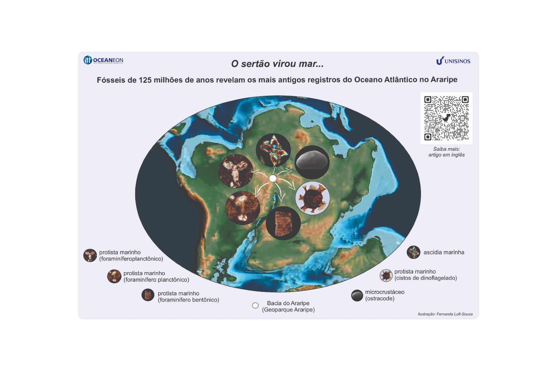 Pesquisa realizada pelo itt Oceaneon traz novas descobertas sobre incursões marinhas no Nordeste brasileiro