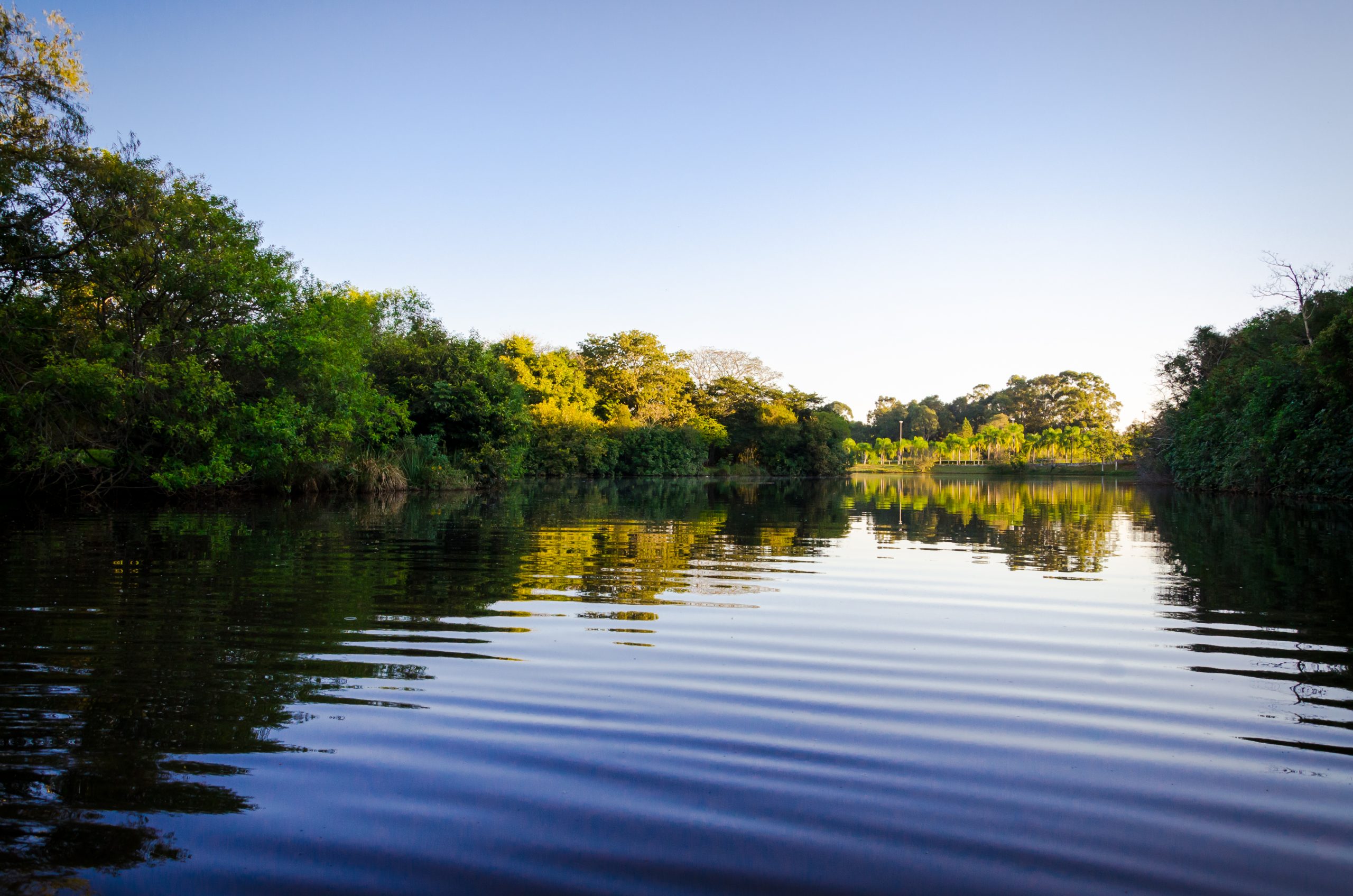 Celebrado no dia 5 de junho, Dia Mundial do Meio Ambiente relembra a todos que precisamos cuidar do nosso planeta