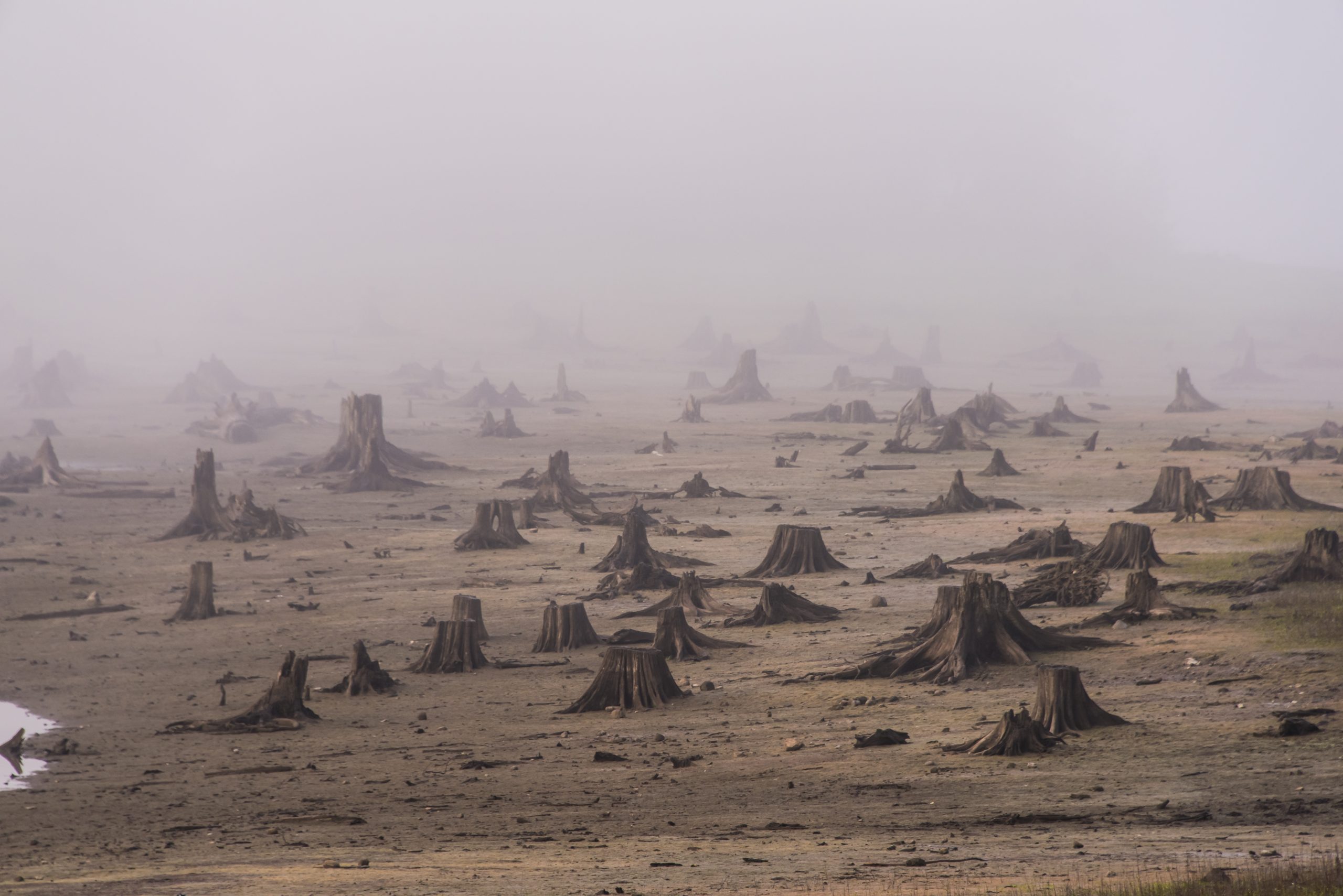 Desastres Climáticos e o Direito 