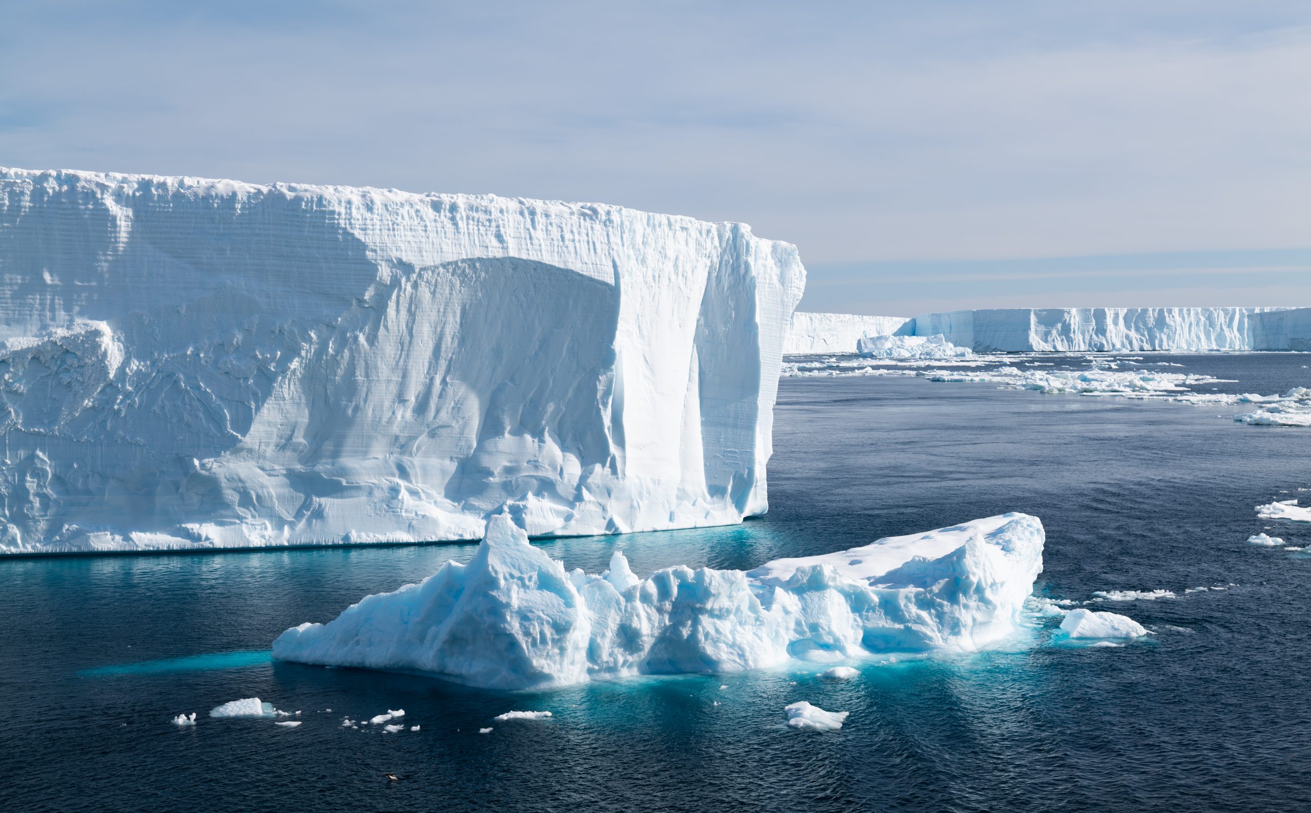 Professores da Unisinos participarão de expedição na Antártica 