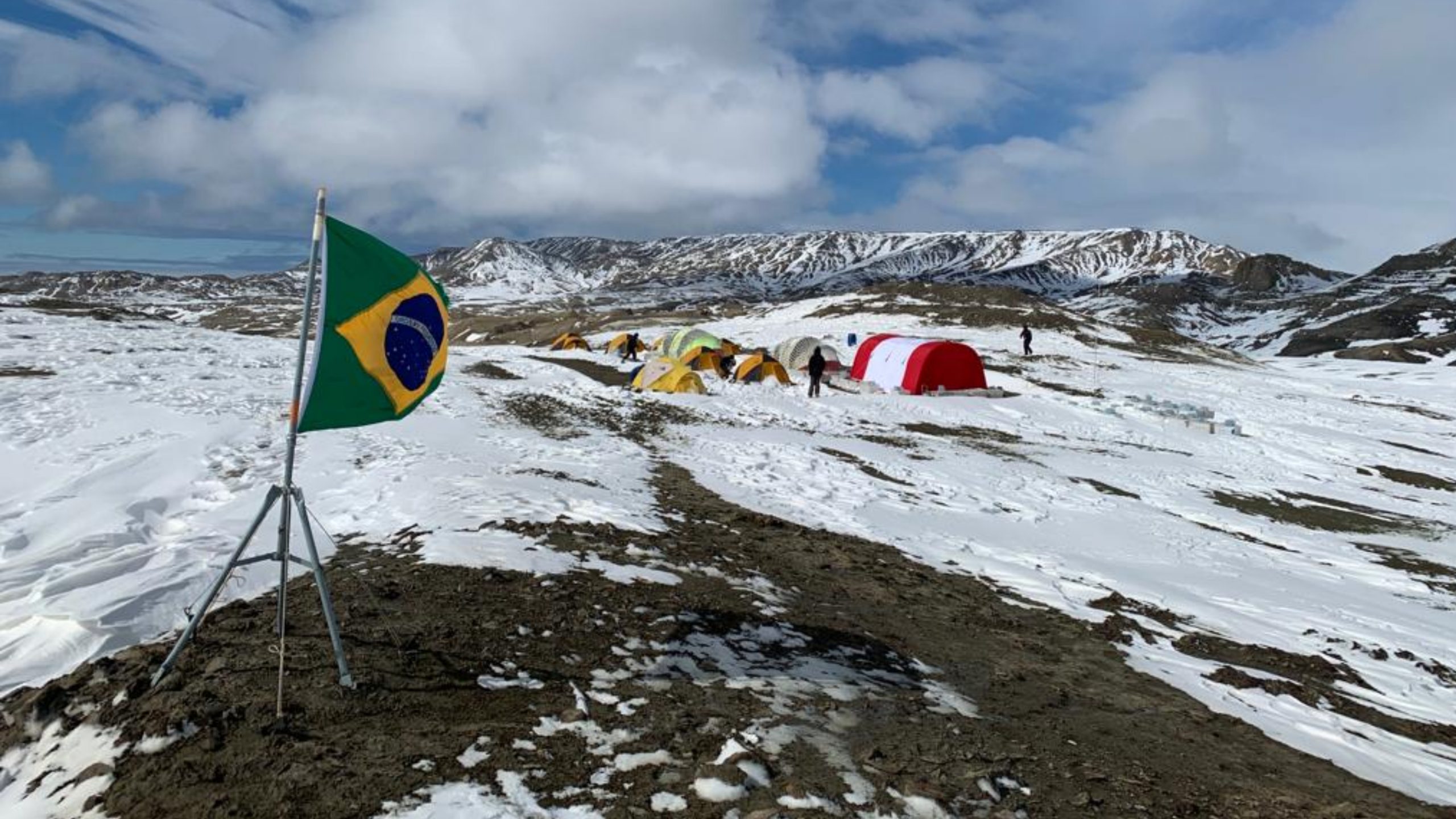 Pesquisa liderada por estudante brasileira desafia hipótese sobre extinção de organismos marinhos na Antártica